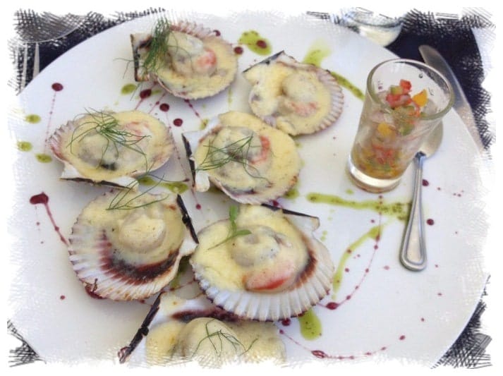 Comida com harmonização de vinho, roteiros desde Santiago