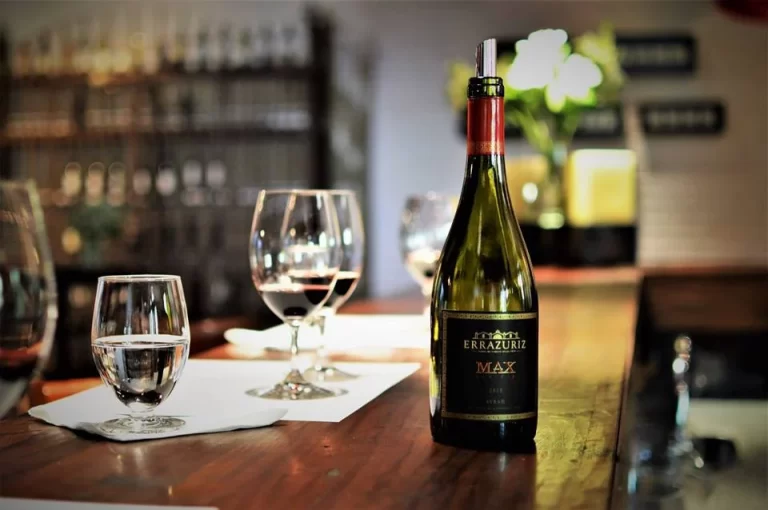 Degustação de Vinhos em Vinícola Errazuriz, no Vale de Aconcágua