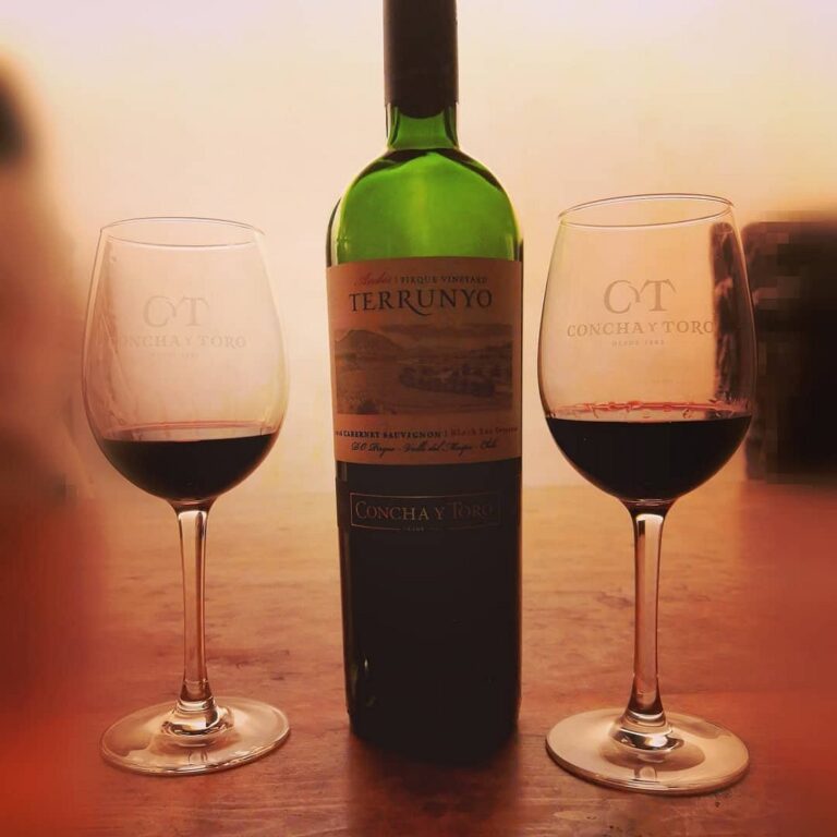 Degustação Premium Concha y. Toro, Vale Maipo