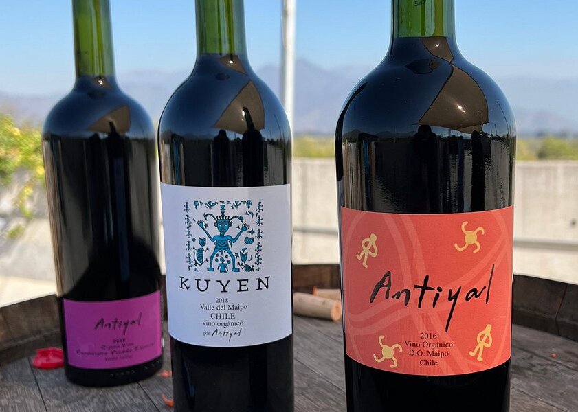 Degustação de Vinho, depois do tour em Vinícola Antiyal