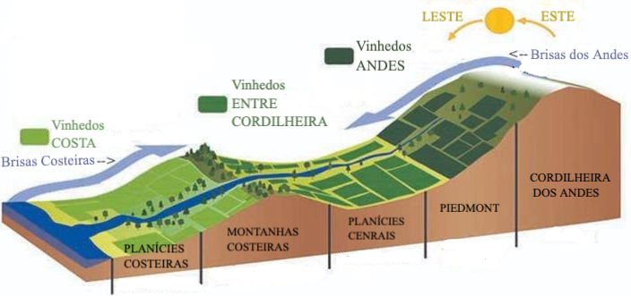 Corte Transversal Chile Regiões Vinícolas