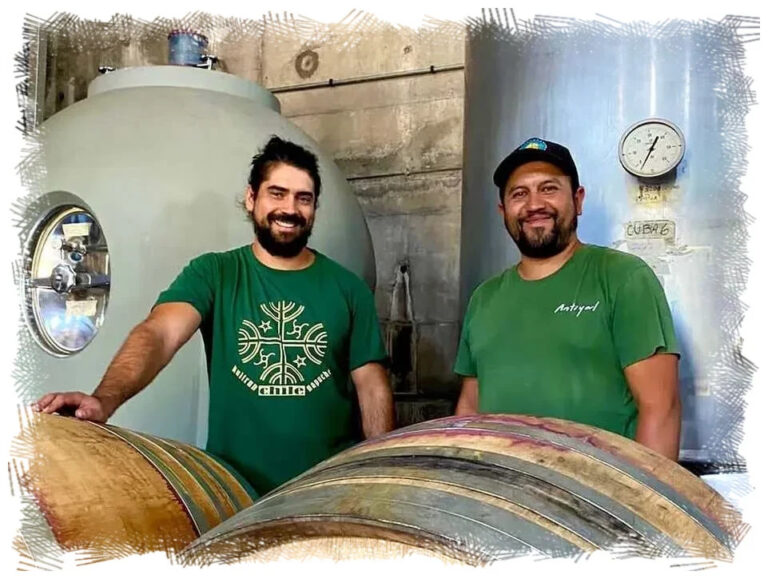 Vinícola Antiyal, Tour Vale do Maipo a partir de Santiago