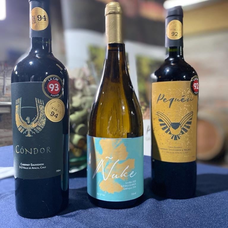 Garrafas RC Vinhedos, Degustaçao de vinhos Boutique no Vale de Colchagua