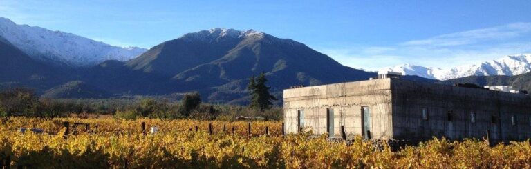 Vista Vinhedo Antiyal no Vale Maipo. Rota do Vinho Boutique